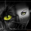 innesa