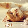 Аватар .bluebell.