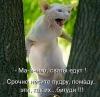 Аватар irusya