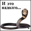 kobra_nikolavna