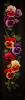 post-3983-1294023184_thumb.jpg