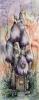 post-4654-1295283218_thumb.jpg