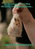 post-10098-1325921652_thumb.jpg