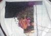 post-2-1325626272_thumb.jpg