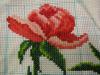 post-2-1325971071_thumb.jpg