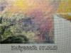 319ab9f6b8dc.jpg