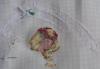post-2-1326624764_thumb.jpg