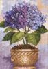 Dimensions 06959, Hydrangea in bloom