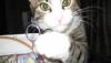 post-2392-1327179897_thumb.jpg
