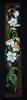 post-8702-1326974623_thumb.jpg