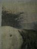 post-11453-1359051591_thumb.jpg