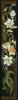 post-13906-1359118149_thumb.jpg