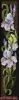 post-13906-1359118167_thumb.jpg