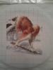 IMG_20130107_200837.jpg
