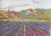 Lanarte 34812, Lavender field