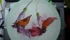 P1000097.JPG