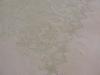DSC05169.JPG