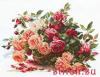 Алиса 2-06, Розы
