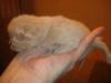 post-11330-1391173968_thumb.jpg