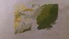 post-16755-1389760326_thumb.jpg