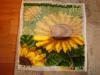 DSC01443.JPG