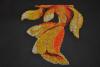 post-2-1390070814_thumb.jpg