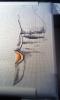post-2-1390748634_thumb.jpg