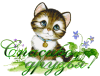 post-22777-1390644948_thumb.png