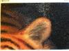 post-11780-1420536748_thumb.jpg