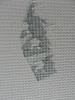post-18863-1422431561_thumb.jpg