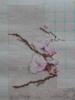 post-21489-1421424678_thumb.jpg