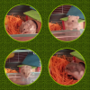 post-22596-1422241289_thumb.png