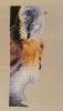 post-27909-1422343500_thumb.jpg