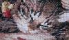 post-3183-1421002266_thumb.jpg