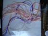 post-2-1297001376_thumb.jpg