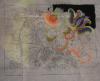 DSC02554.JPG