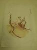 DSC00816.JPG