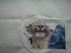 snow_leopard2.JPG