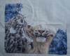 snow_leopard3.JPG