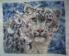 snow_leopard4.JPG