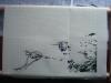 DSC00022.JPG