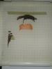 post-275-1298899039_thumb.jpg