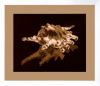 post-4746-1298297076_thumb.png