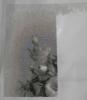post-2-1328563012_thumb.jpg