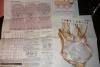 post-2-1329044388_thumb.jpg