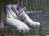 post-2-1329251378_thumb.jpg