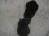 post-8713-1330330065_thumb.jpg