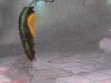 post-12578-1361606857_thumb.jpg