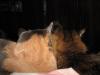 post-12795-1361035282_thumb.jpg