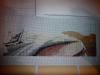 post-2-1360006421_thumb.jpg